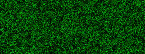 绿色草坪草纹理俯视图无缝模式图片下载