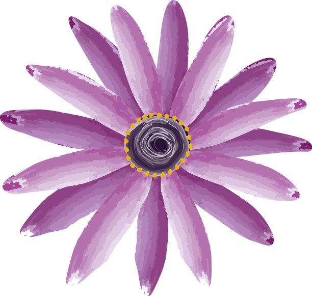 紫色的奇葩图片下载