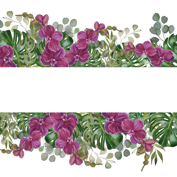 手绘无边边框的水彩热带植物叶子和兰花花。绿色植物的背景。异国情调的请柬，婚礼设计，明信片，纺织品，网站图片下载