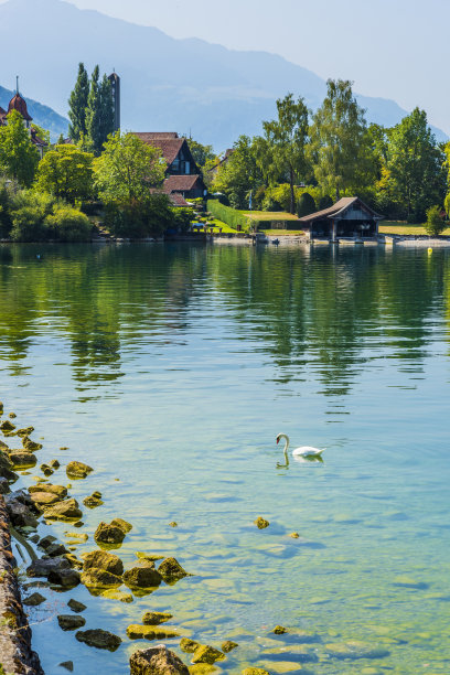 瑞士Zug州Oberwil镇的Zug湖和湖滨景观图片下载