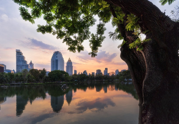 泰国曼谷隆菲尼公园图片下载