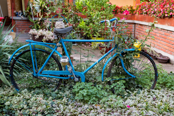 带花篮的旧自行车图片下载