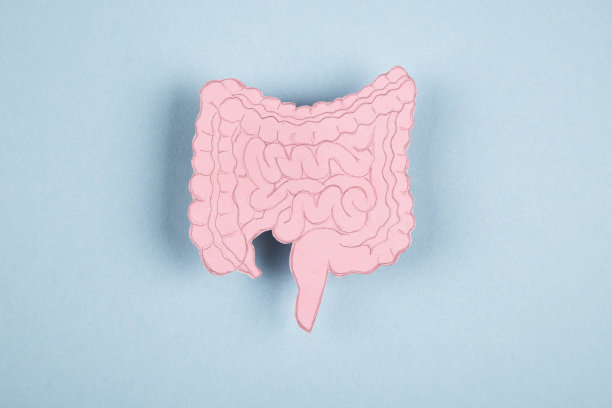 人的肠子是纸做的图片下载