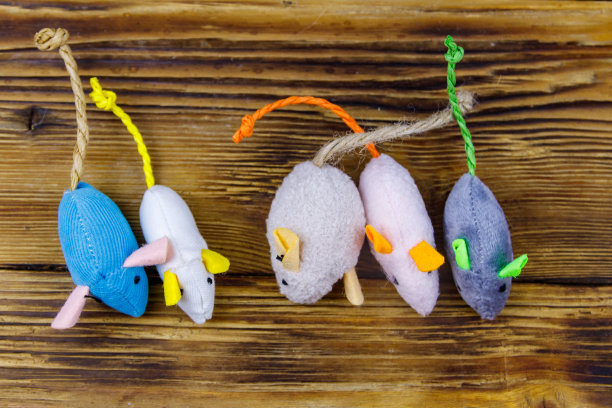 一套老鼠玩具为猫木制背景。俯视图图片下载