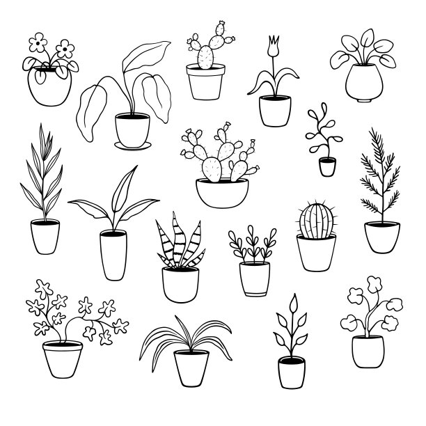 盆栽涂鸦集图片下载