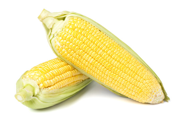 带皮的新鲜玉米。图片下载