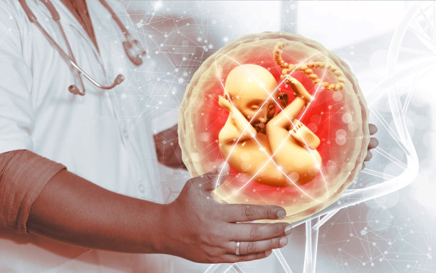 保护和支持人类胎儿的图片下载