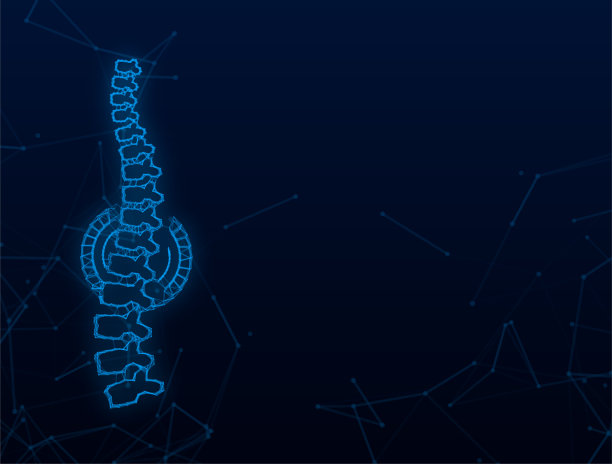神经丛脊柱人体图形图标。人体解剖学。矢量插图。图片下载