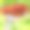 房子和车在草地上的路。从上面俯视。小镇的建筑和树木。卡通可爱风格插图。向量的建筑图片下载