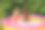 女朋友们正坐在院子里的充气泳池里图片下载