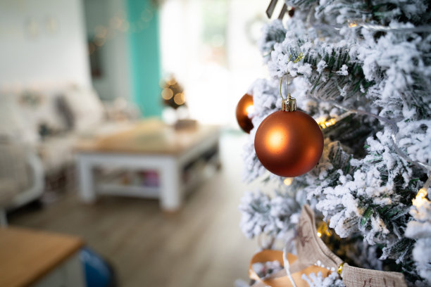 客厅里的圣诞装饰图片下载