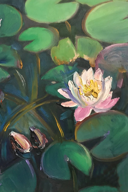 花瓣上的海百合艺术绘画图片下载