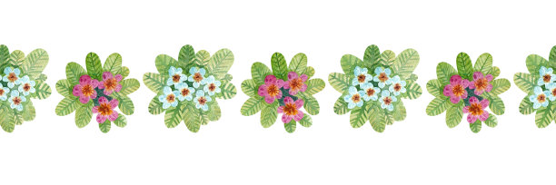 手绘水彩花卉图案。蓝色和粉红色的樱草花。图片下载