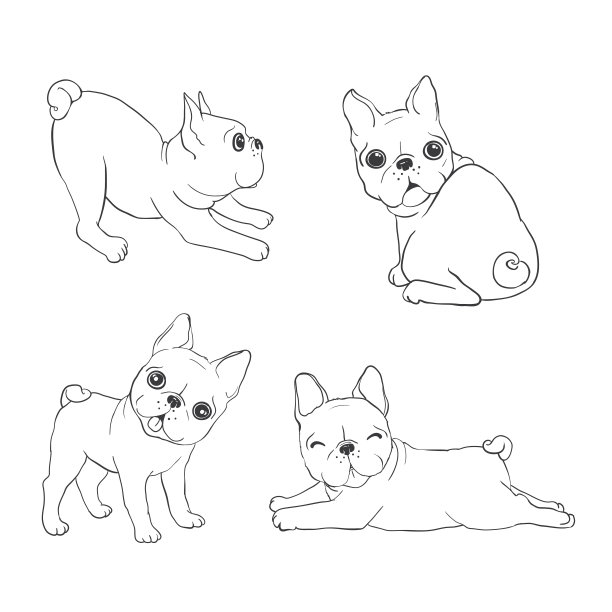 法国斗牛犬的背景。狗,插图,法语图片下载