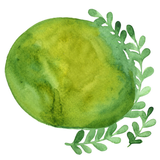 摘要常青藤蕨花环，热带蕨框水彩背景装饰在自然和花园。图片下载