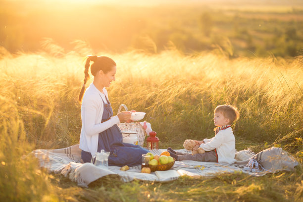 可爱的小男孩和他美丽的怀孕妈妈在野餐图片下载