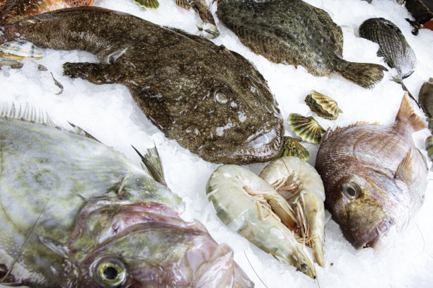 冰上鱼排图片下载