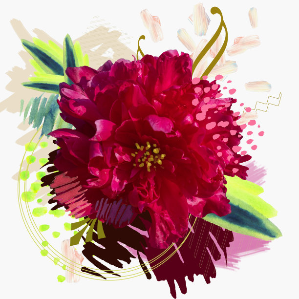 洋红牡丹头开花等抽象元素和水彩元素的拼贴与复制空间图片下载