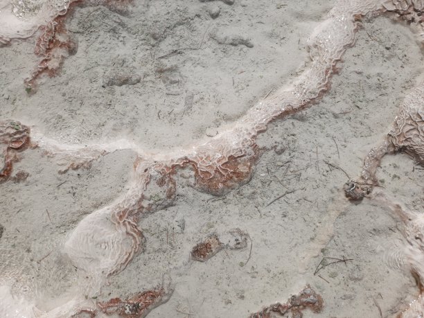 背景是石灰华表面的纹理——白色石灰石上的红色矿物线——就像海底的珊瑚。图片下载