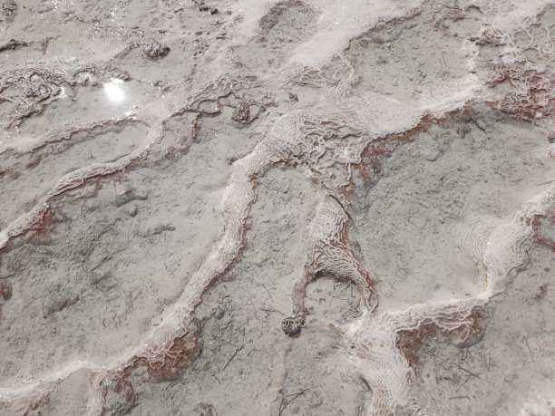 背景是石灰华表面的纹理——白色石灰石上的红色矿物线——就像海底的珊瑚。图片下载