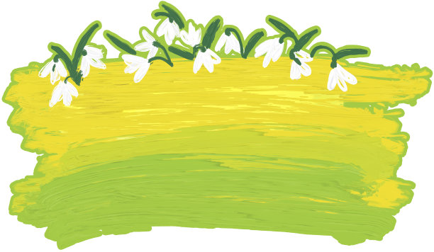 雪花莲。图片下载