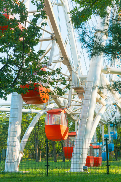 公园里的游乐摩天轮。草地的背景。图片下载