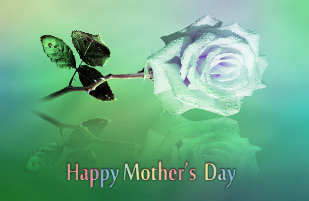 母亲节快乐柔软浅绿色背景玫瑰花。图片下载