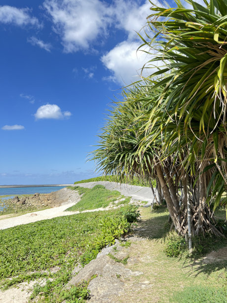 冲绳县富久岛风光图片下载