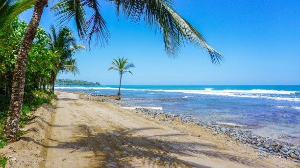热带沙道内自然环境优美。图片下载