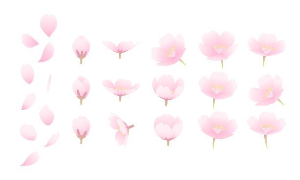 简单和美丽的樱花，花瓣和花蕾的矢量插图。图片下载