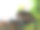 俄罗斯苏维埃斯摩连斯基圣泉的木制教堂建筑。图片下载