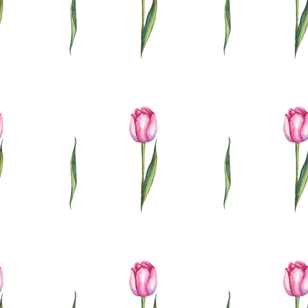 水彩郁金香。无缝模式。手画图片下载