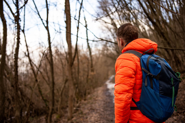 徒步旅行者在森林里徒步旅行图片下载