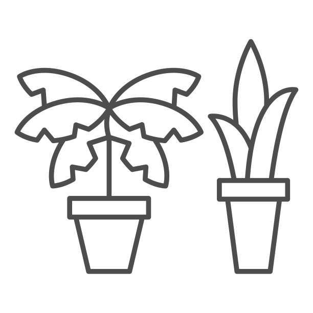 家庭或办公室热带植物细线图标，房间装饰概念，花在花盆标志上的白色背景，室内植物图标轮廓风格的移动概念和网页设计。矢量图形。图片下载