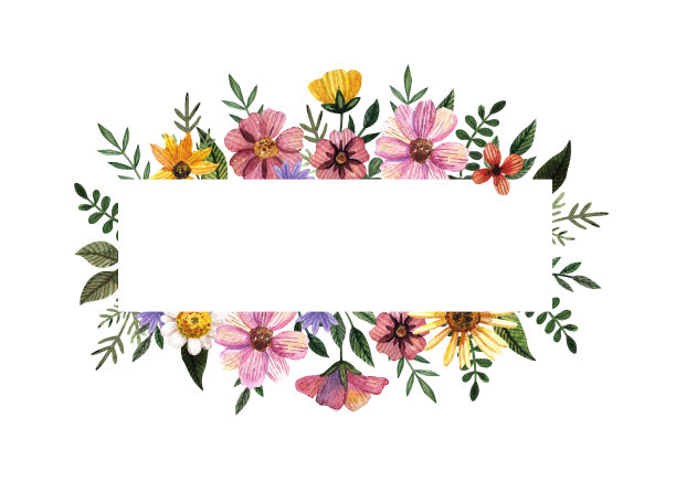 金色框架与水彩压制和干花在白色背景图片下载