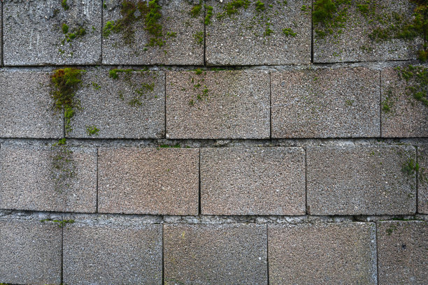 旧混凝土砌块墙与苔藓特写。随着年龄的增长崩溃。施工、修复。观念毁灭，衰退。高质量的照片图片下载