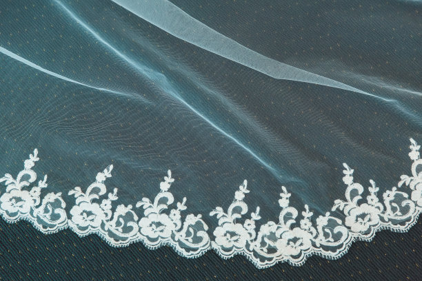 雪白蕾丝面纱的一部分图片下载