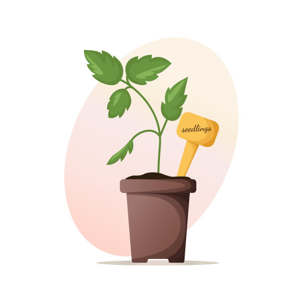 育苗盆中绿芽图片下载