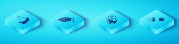 设置等距冰川融化，死鱼，瓶装水和全球变暖图标。向量图片下载