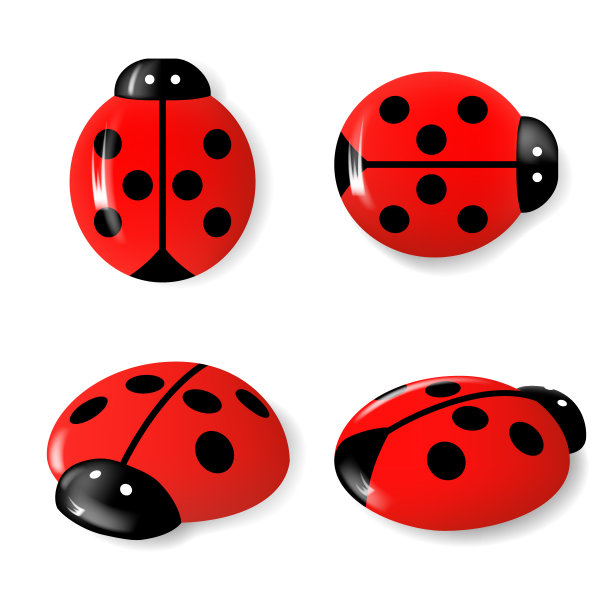 瓢虫设置在白色背景图片下载