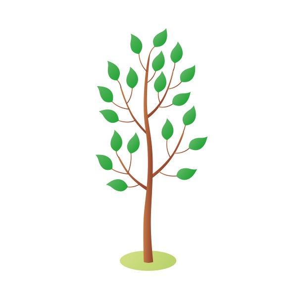 小树长着绿叶图片下载