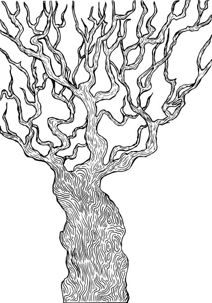 橡树黑白色线性艺术着色页，孤立在白色背景。装饰树矢量手绘插图图片下载