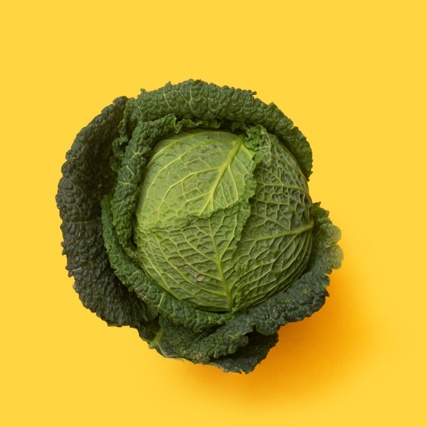 有机蔬菜的最小概念。新鲜的萨沃伊卷心菜头在橙色柔和的背景下图片下载