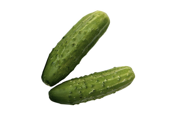 绿色黄瓜孤立在一个白色背景特写图片下载
