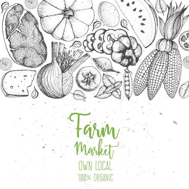 健康食品矢量插图。农贸市场产品手绘。有机食品。雕刻风格元素的设计。图片下载