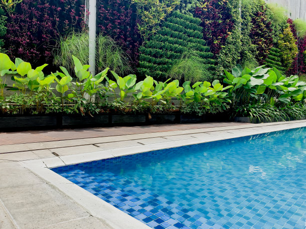 游泳池里有清澈的水图片下载