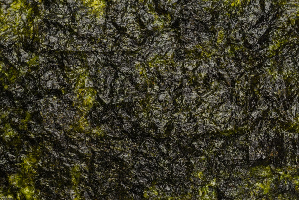 美味的海苔隔离在白色。图片下载