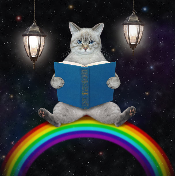 猫灰在彩虹上读蓝色的书图片下载