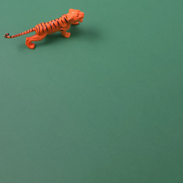 老虎在左上角是偷偷地向上和准备攻击的绿色背景与复制空间。最小的动物。图片下载