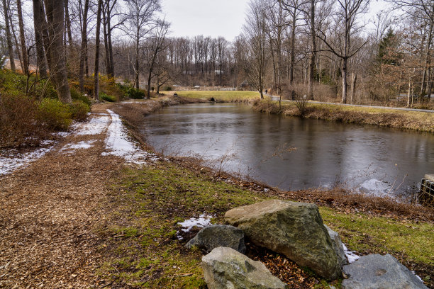 雪覆盖着湖边的尾巴图片下载